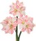 3-Piece Pale Pink Artificial Amaryllis Flowers – 17.3" Silk Faux Amaryllis Stems with 4 Blooms Each for Spring Home Décor, Table Centerpieces, Weddings & Party Arrangements